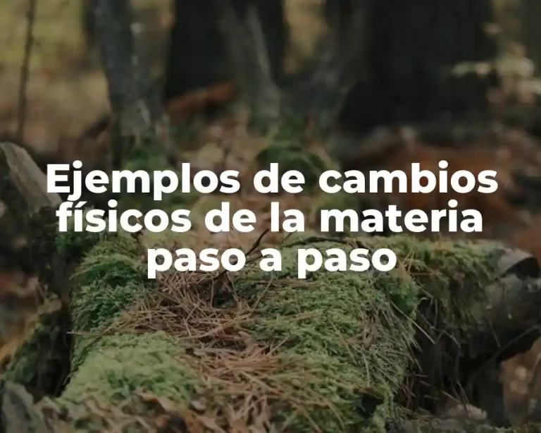Ejemplos de cambios físicos de la materia paso a paso