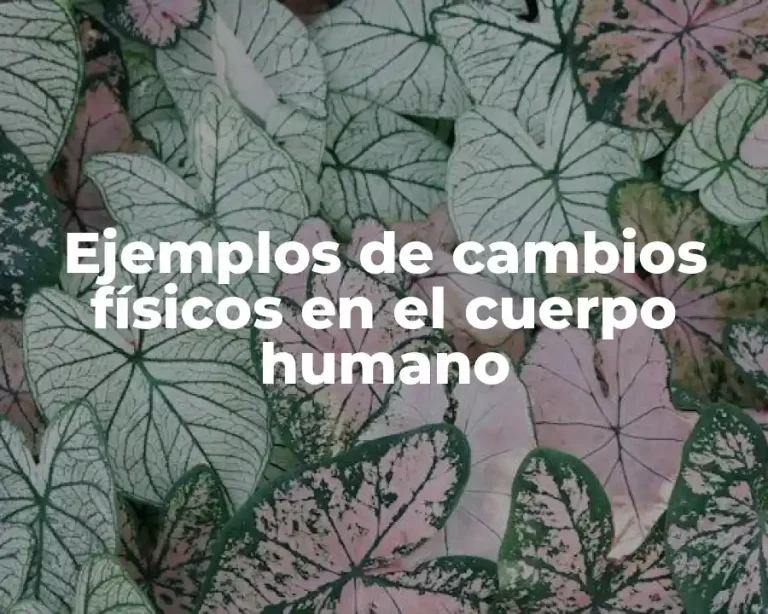 Ejemplos de cambios físicos en el cuerpo humano