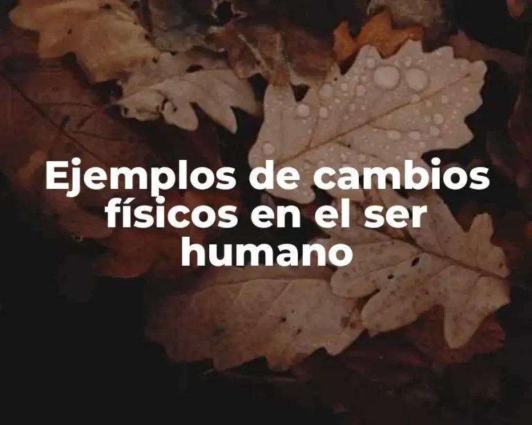 Ejemplos de cambios físicos en el ser humano