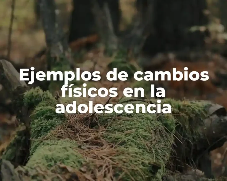 Ejemplos de cambios físicos en la adolescencia