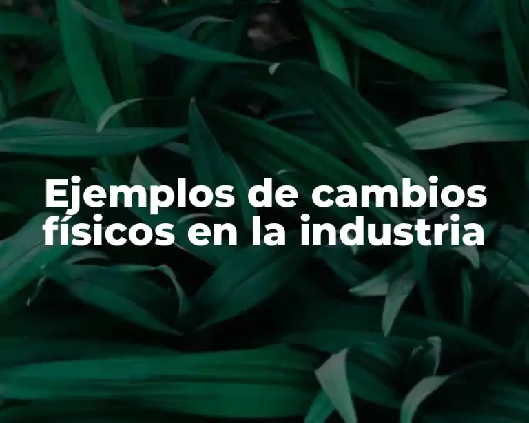 Ejemplos de cambios físicos en la industria