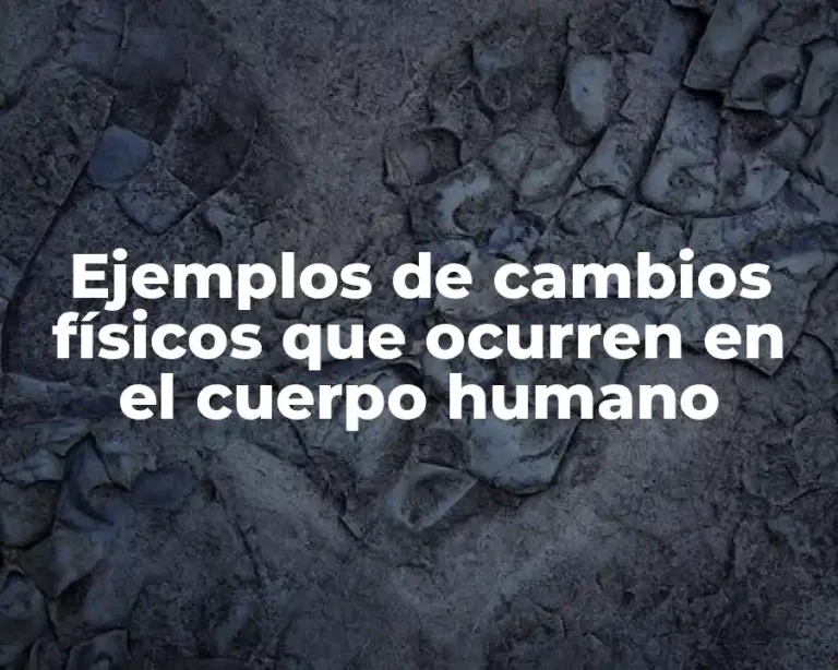 Ejemplos de cambios físicos que ocurren en el cuerpo humano