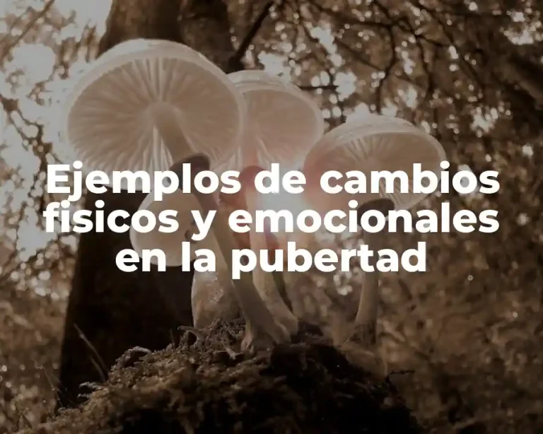Ejemplos de cambios fisicos y emocionales en la pubertad