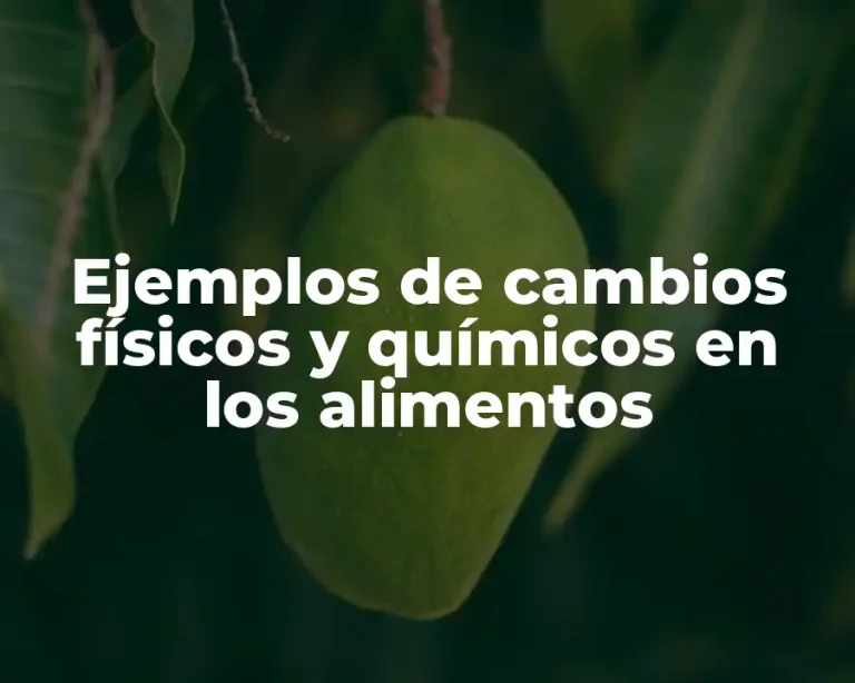 Ejemplos de cambios físicos y químicos en los alimentos