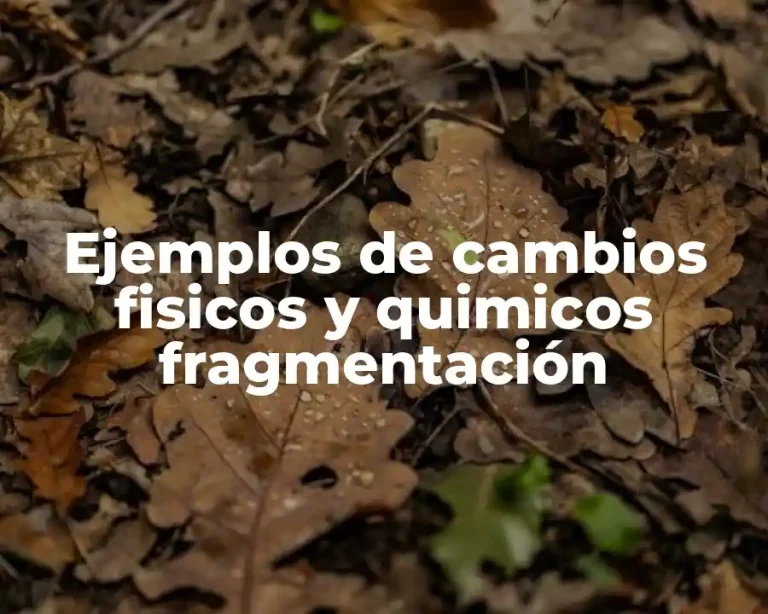 Ejemplos de cambios fisicos y quimicos fragmentación
