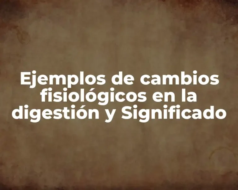Ejemplos de cambios fisiológicos en la digestión y Significado
