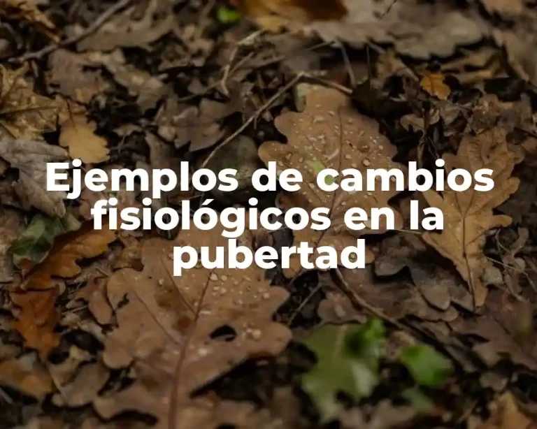 Ejemplos de cambios fisiológicos en la pubertad