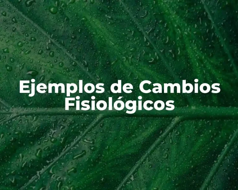 Ejemplos de Cambios Fisiológicos