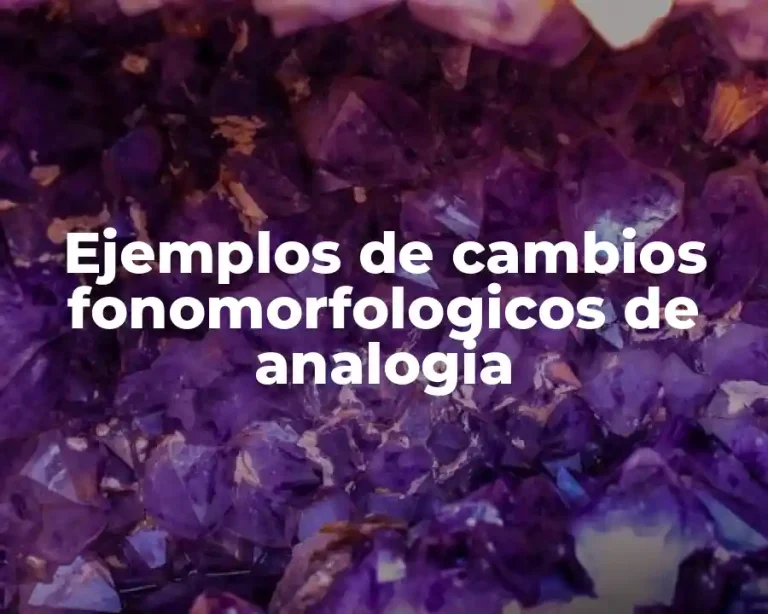 Ejemplos de cambios fonomorfologicos de analogia