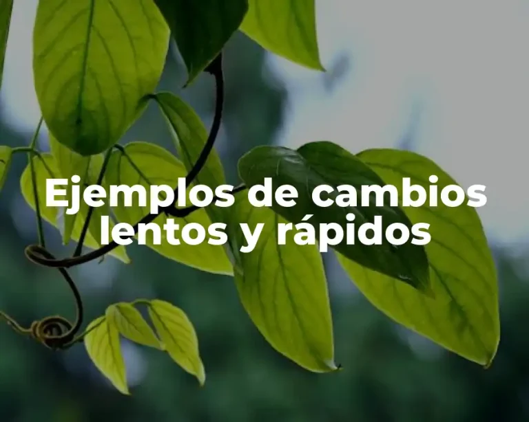 Ejemplos de cambios lentos y rápidos