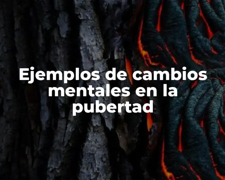 Ejemplos de cambios mentales en la pubertad