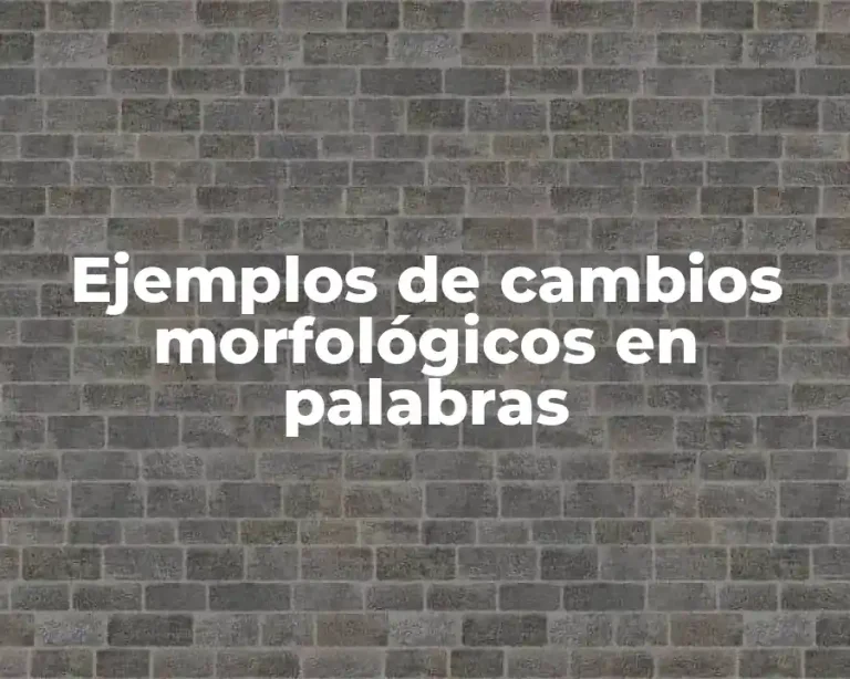 Ejemplos de cambios morfológicos en palabras