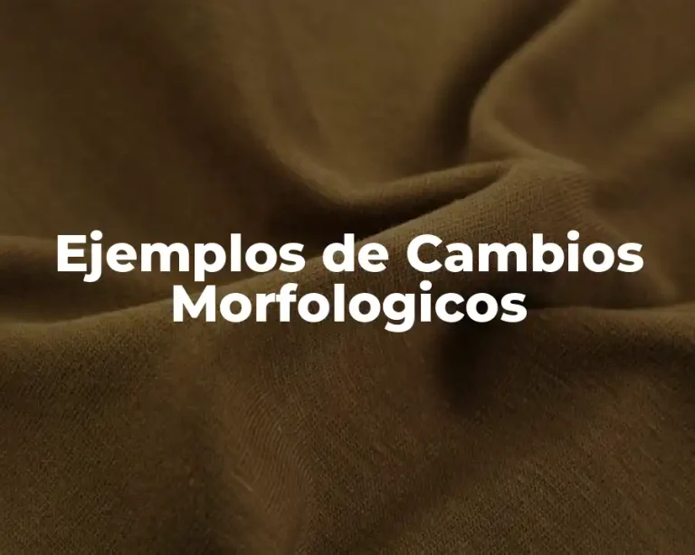 Ejemplos de Cambios Morfologicos