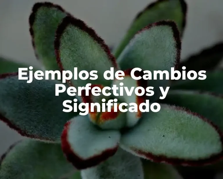 Ejemplos de Cambios Perfectivos y Significado