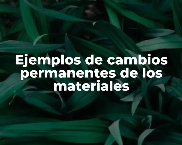 Ejemplos de cambios permanentes de los materiales