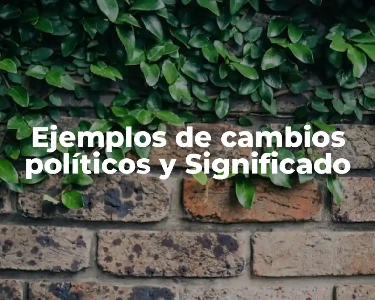 Ejemplos de cambios políticos y Significado