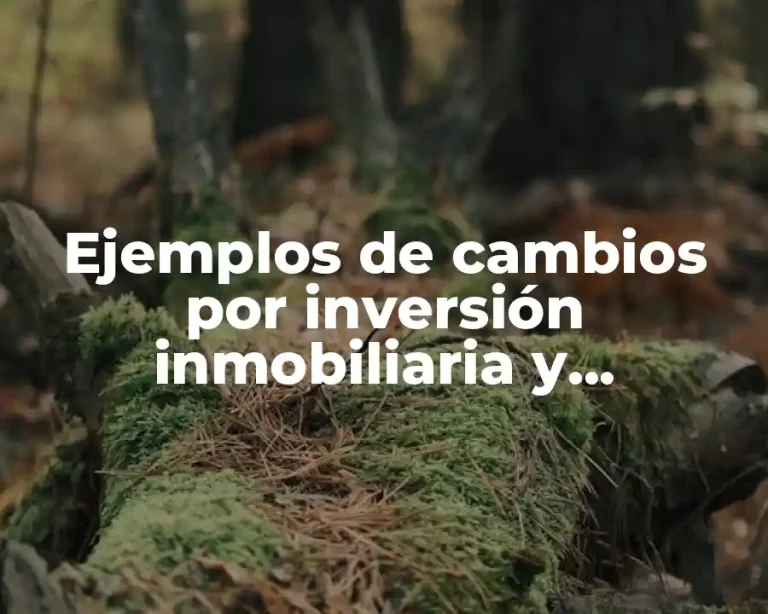 Ejemplos de cambios por inversión inmobiliaria y Significado