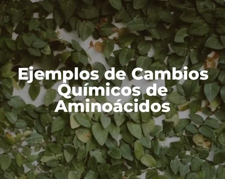 Ejemplos de Cambios Químicos de Aminoácidos