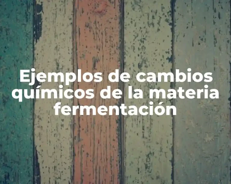 Ejemplos de cambios químicos de la materia fermentación
