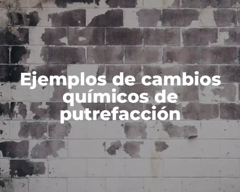 Ejemplos de cambios químicos de putrefacción