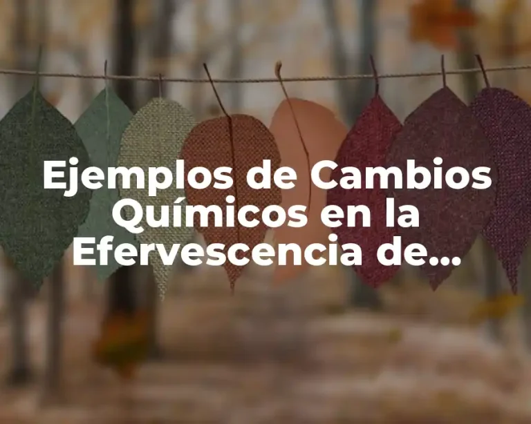 Ejemplos de Cambios Químicos en la Efervescencia de Refresco