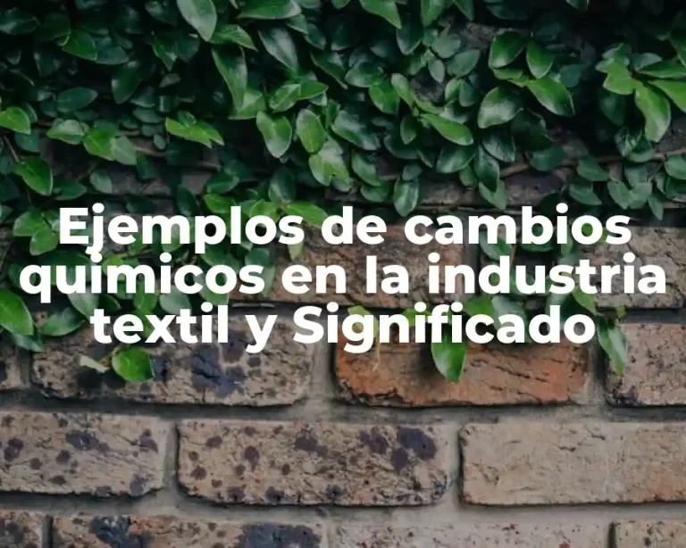 Ejemplos de cambios quimicos en la industria textil y Significado