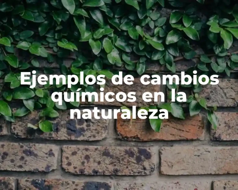 Ejemplos de cambios químicos en la naturaleza