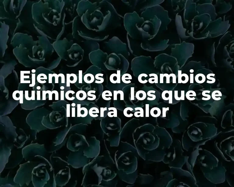 Ejemplos de cambios quimicos en los que se libera calor