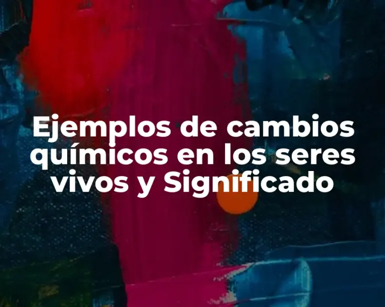 Ejemplos de cambios químicos en los seres vivos y Significado