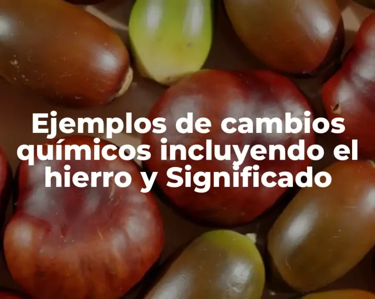 Ejemplos de cambios químicos incluyendo el hierro y Significado