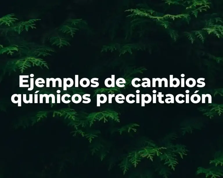 Ejemplos de cambios químicos precipitación