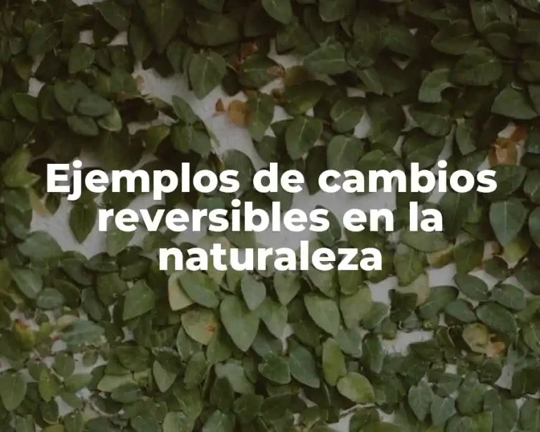 Ejemplos de cambios reversibles en la naturaleza