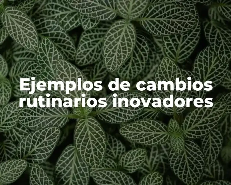 Ejemplos de cambios rutinarios inovadores