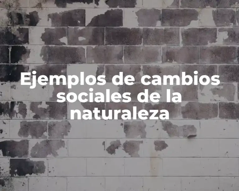 Ejemplos de cambios sociales de la naturaleza