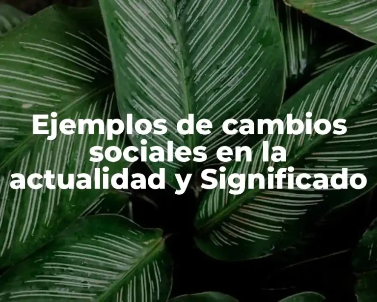Ejemplos de cambios sociales en la actualidad y Significado