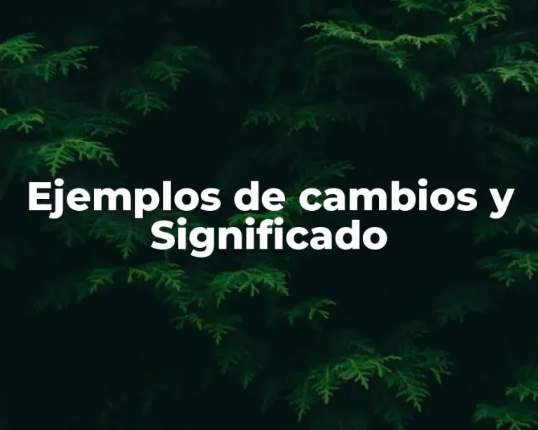 Ejemplos de cambios y Significado