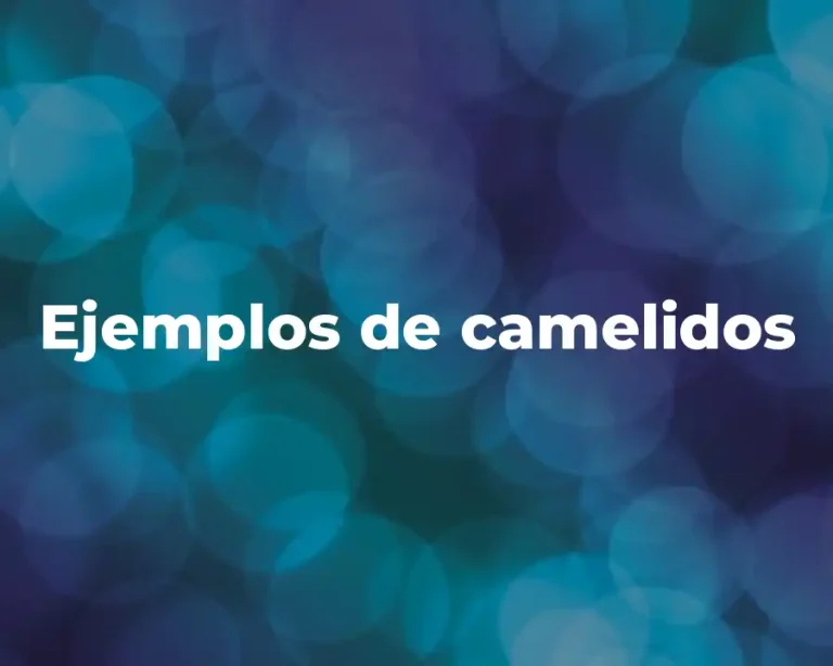Ejemplos de camelidos