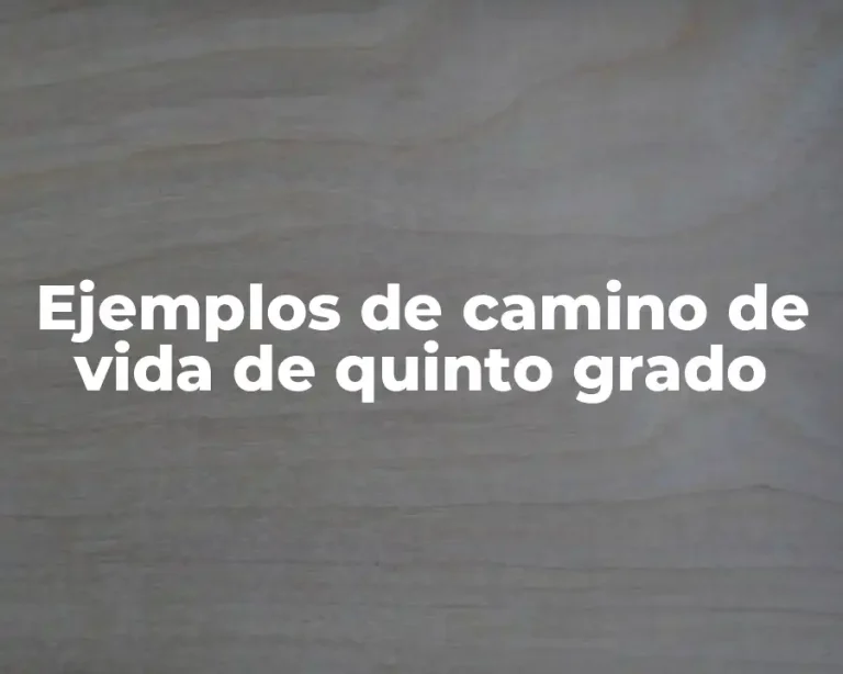 Ejemplos de camino de vida de quinto grado