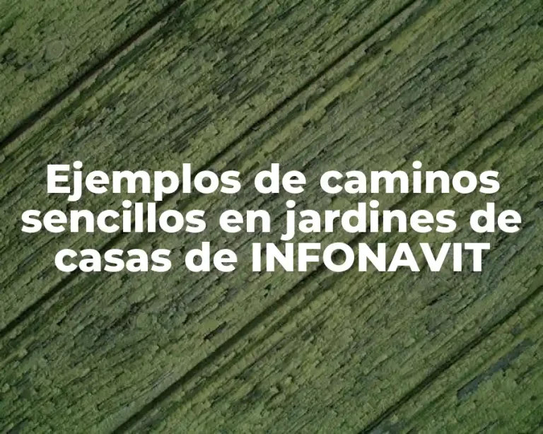 Ejemplos de caminos sencillos en jardines de casas de INFONAVIT