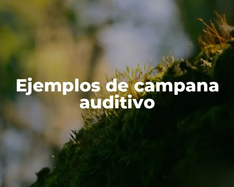 Ejemplos de campana auditivo