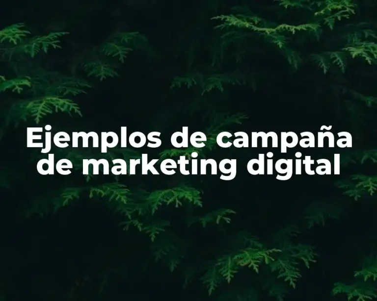 Ejemplos de campaña de marketing digital