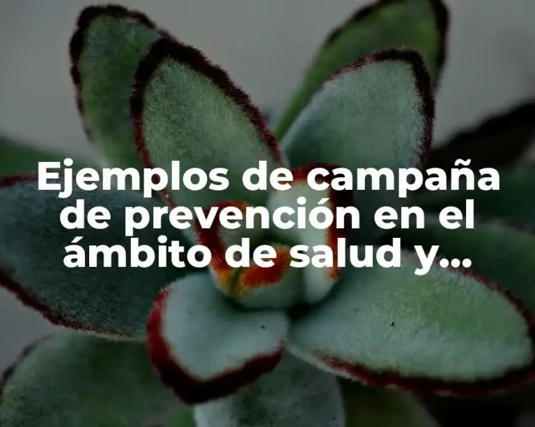Ejemplos de campaña de prevención en el ámbito de salud y Significado