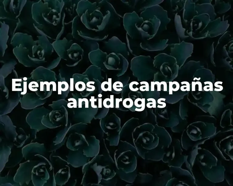 Ejemplos de campañas antidrogas