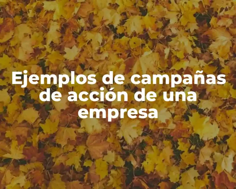 Ejemplos de campañas de acción de una empresa
