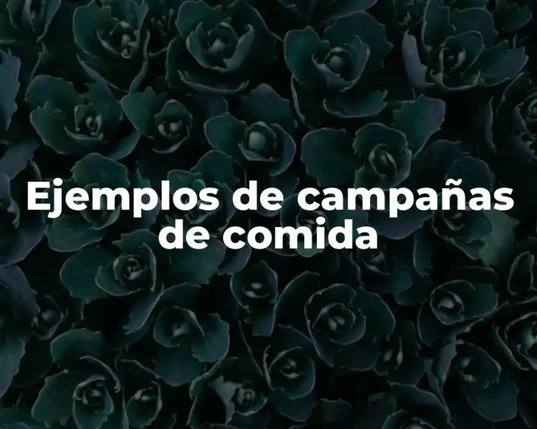 Ejemplos de campañas de comida