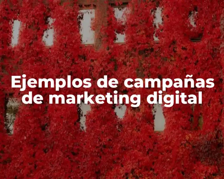 Ejemplos de campañas de marketing digital
