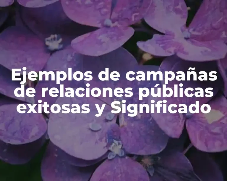 Ejemplos de campañas de relaciones públicas exitosas y Significado