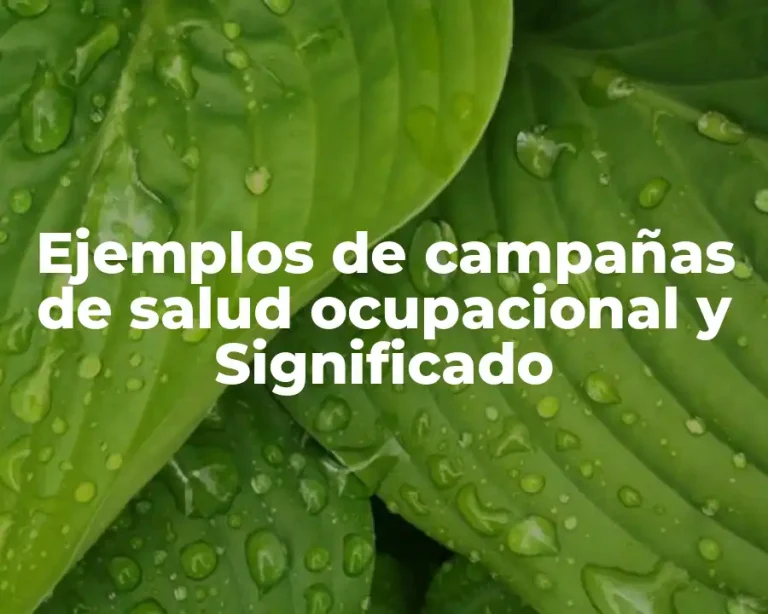 Ejemplos de campañas de salud ocupacional y Significado