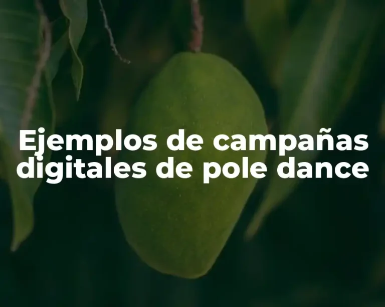 Ejemplos de campañas digitales de pole dance