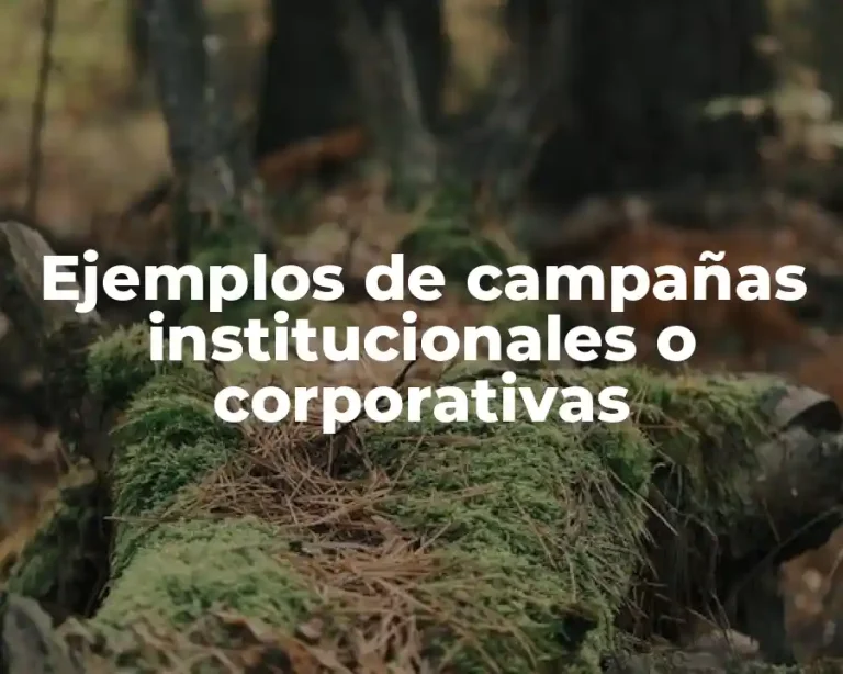 Ejemplos de campañas institucionales o corporativas
